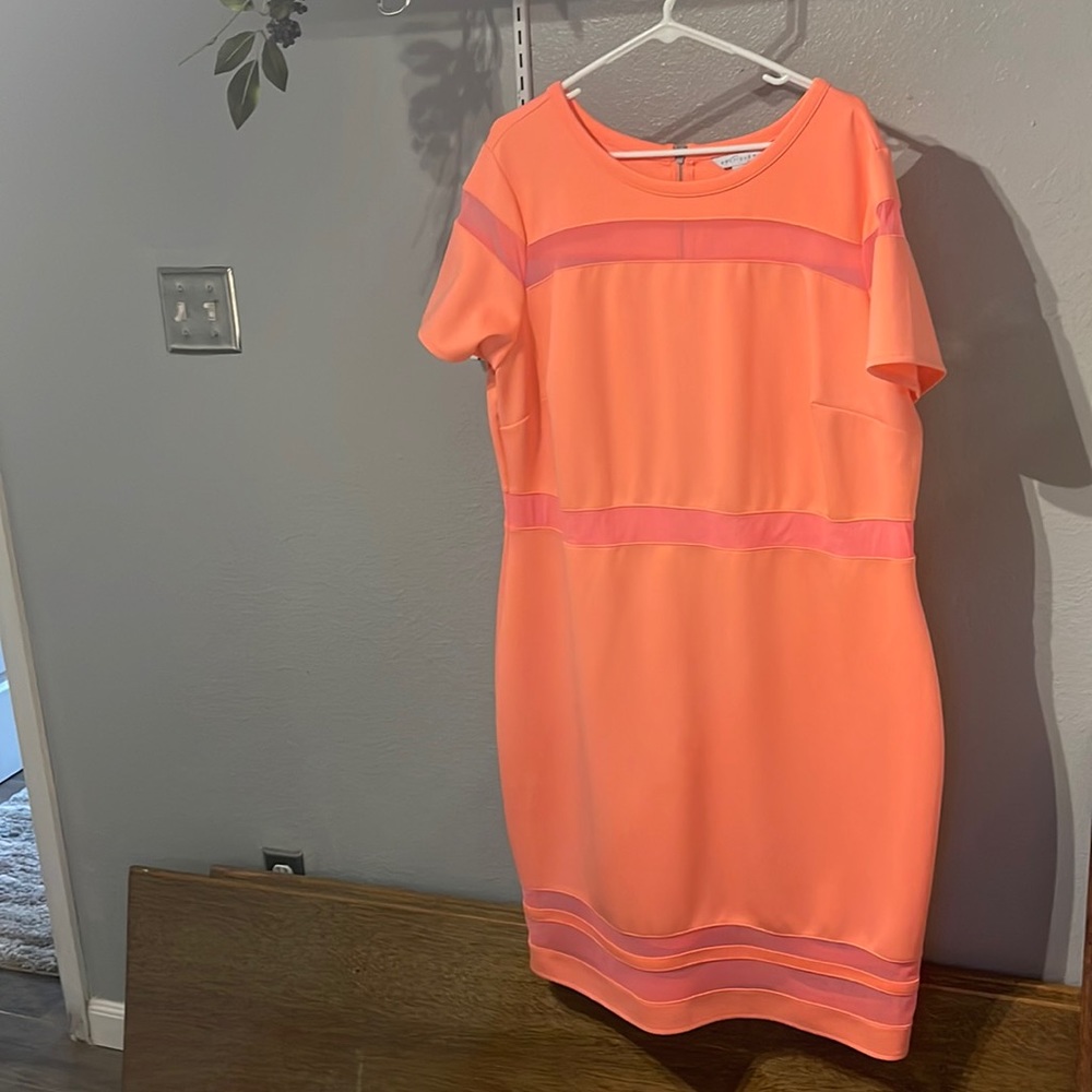 Boutique+ Dress Orange Size 2X Never Worn